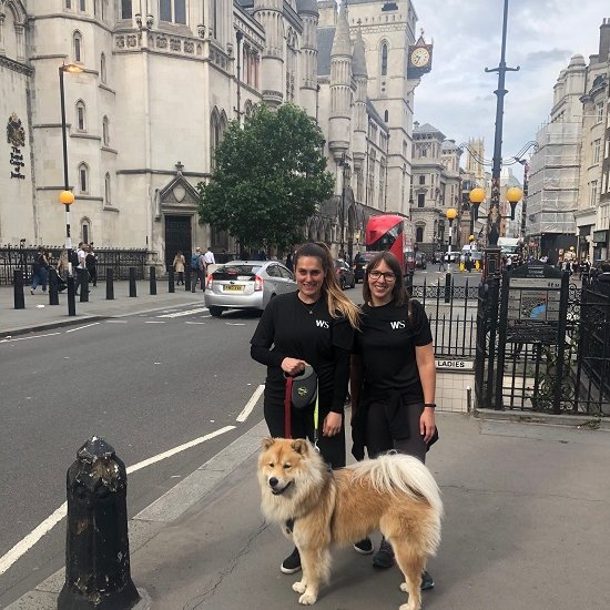 London Legal Walk 2019