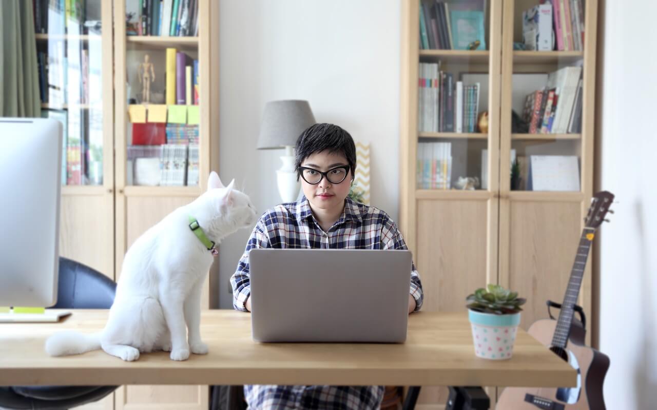 Flexible-working-woman-at-home-on-laptop-with-cat
